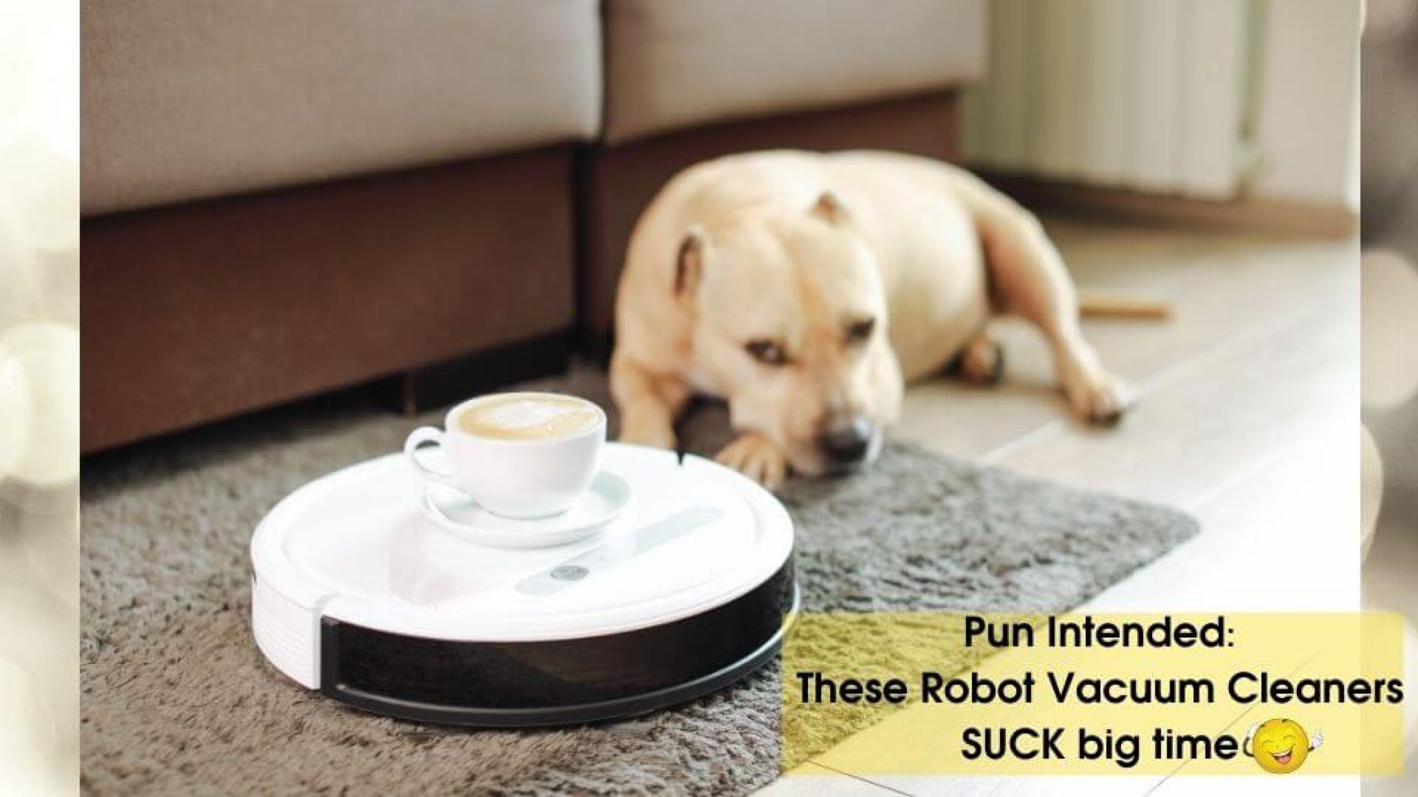 5 Best Robot Vacuum Cleaners Reviews, Buying Guide and Price What